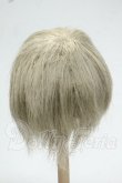 画像2: 7-8inch/ウィッグ Y-26-09-15-062-WT-ZY (2)