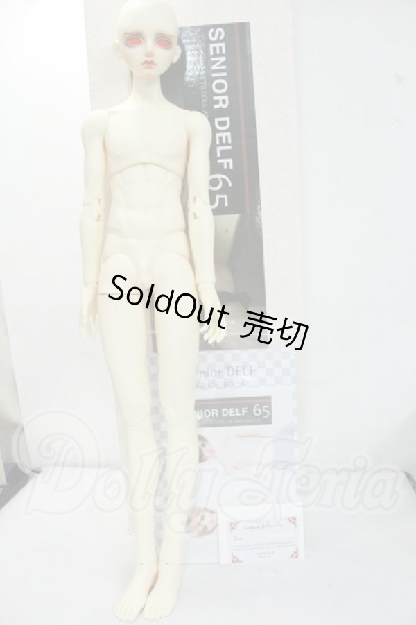 画像7: LUTS/Senior65 Delf BURGUNDY Y-26-09-15-001-WT-ZY (7)