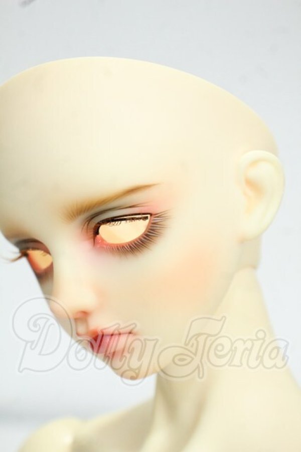 画像5: LUTS/Senior65 Delf BURGUNDY Y-26-09-15-002-WT-ZY (5)