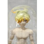画像: 悸動瞬息 シチリアの追憶/西西里往事 エドアルド ゴールデンレトリバー Y-26-09-15-252-WT-ZY