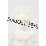 画像: 悸動瞬息 シチリアの追憶/西西里往事 エドアルド ゴールデンレトリバー Y-26-09-15-252-WT-ZY