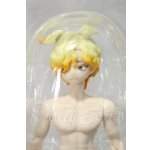 画像: 悸動瞬息 シチリアの追憶/西西里往事 エドアルド ゴールデンレトリバー Y-26-09-15-251-WT-ZY