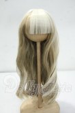 画像1: 8〜9inch/ウィッグ(COLLIE様製) Y-26-09-15-051-WT-ZY (1)