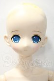 画像2: azone/Alice Time of grace II~A dream of princess~ アゾンダイレクトストア限定ver. Y-26-09-15-298-WT-ZY (2)