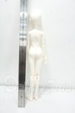 画像6: SUIDOLL/Sio White Y-26-10-13-293-WA-ZY (6)