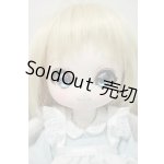 画像: DOLK×MellowDrops×ふにゃほわ×DOLLI POP/NYANG 天使ねこメイド Y-26-09-22-002-WT-ZY