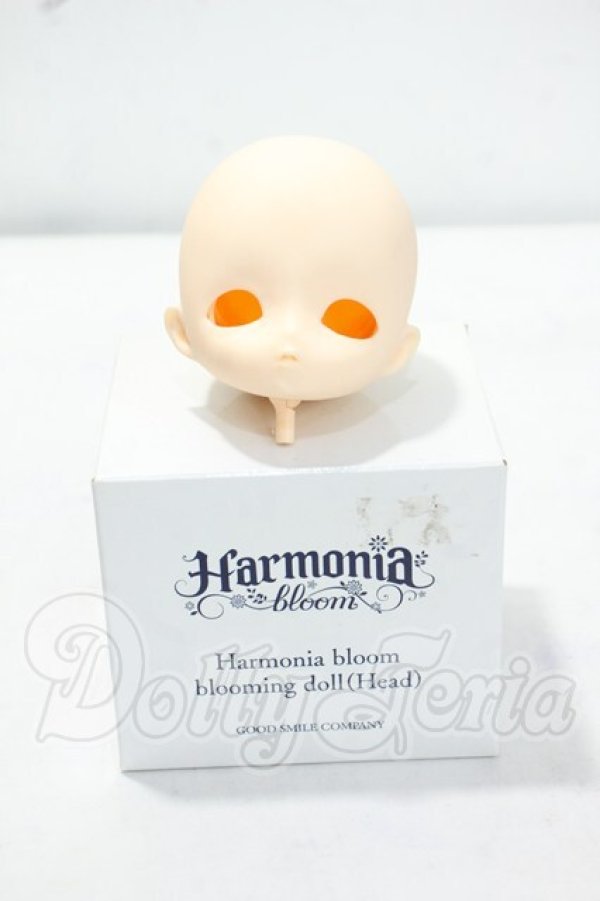 画像2: Harmonia bloom/ blooming doll（Head） Y-26-09-29-163-WT-ZY (2)
