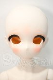 画像1: TinyFox 愛意審判・セルシーフルセット 1/4 Y-26-09-22-171-WT-ZY (1)