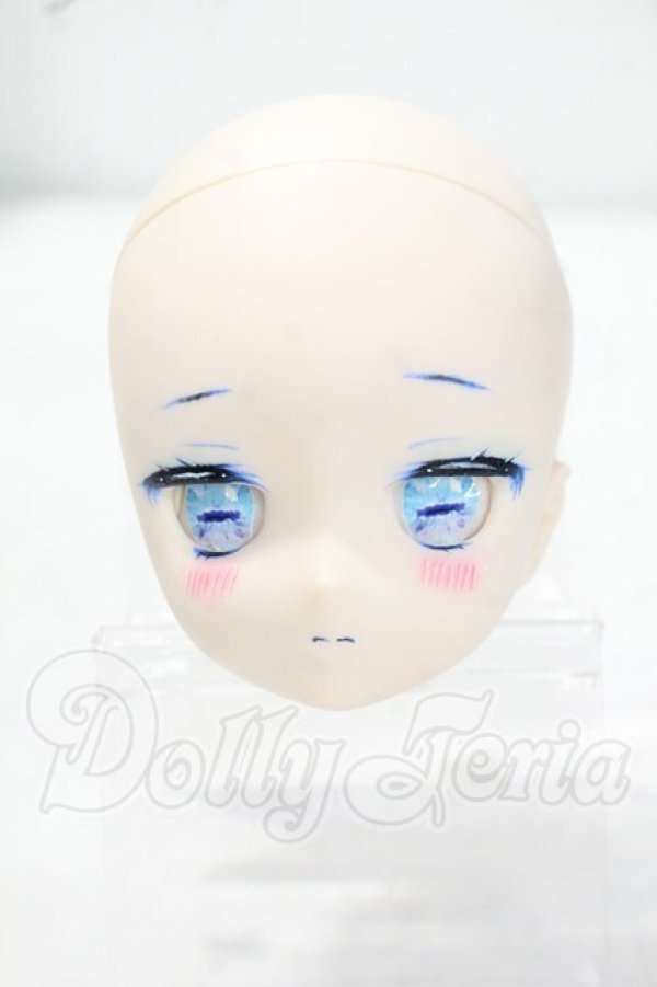 画像1: DD/DDH-29　カスタムメイクヘッド Y-26-09-29-229-WT-ZY (1)