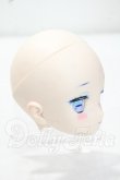 画像2: DD/DDH-29　カスタムメイクヘッド Y-26-09-29-229-WT-ZY (2)