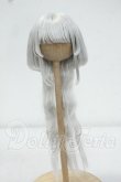 画像1: 7-8inch/ウィッグ Y-26-09-29-319-WT-ZY (1)