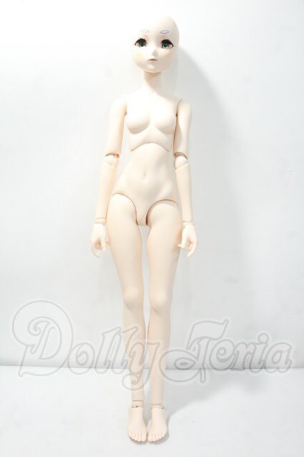 画像6: DDS/フリーレン 2.0 Y-26-09-29-297-WT-ZY (6)