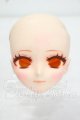 画像: DOLLCEDOLL/DC60-03　カスタムヘッド Y-26-09-29-329-WT-ZY