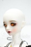 画像4: LITTLE MONICA/Little Sophia-Twilight Y-26-10-06-213-WT-ZY (4)