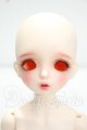画像: BAMBI CRONY/【BB】Schnee Y-26-10-06-212-WT-ZY