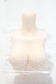 画像: MDD2.0/上半身パーツ L胸 Y-26-10-06-118-WT-ZY