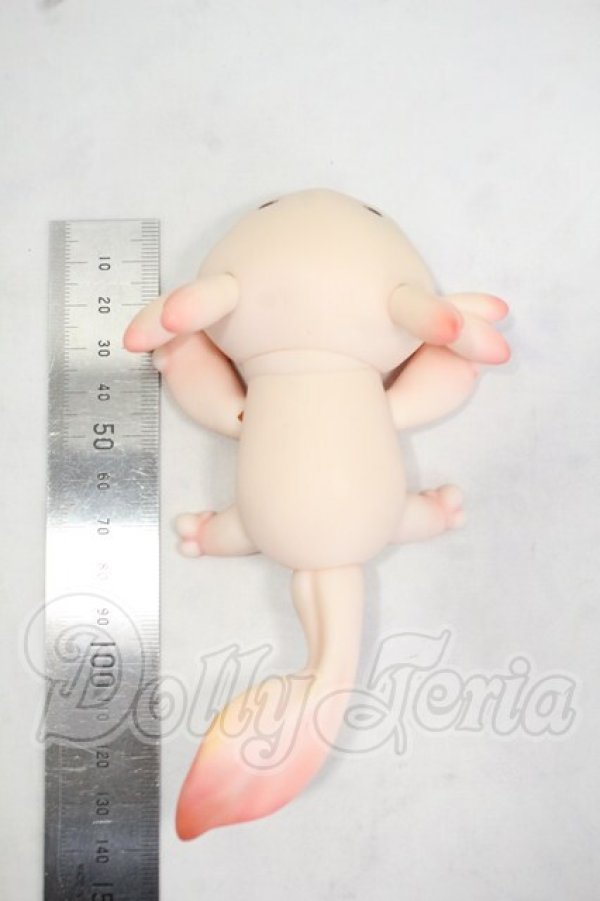 画像2: FATEMOONS/六角竜:PUU Y-26-09-29-346-WT-ZY (2)