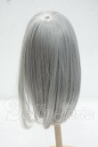 画像2: 6-7inch/ウィッグ Y-26-10-06-055-WT-ZY (2)