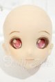 画像: DDH-06/カスタムヘッド　フレッシュ Y-26-09-29-005-WT-ZY
