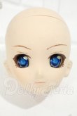 画像1: DDH-06/カスタムヘッド　フレッシュ Y-26-09-29-006-WT-ZY (1)