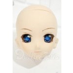 画像: DDH-06/カスタムヘッド フレッシュ Y-26-09-29-006-WT-ZY