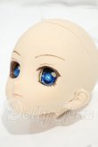 画像3: DDH-06/カスタムヘッド　フレッシュ Y-26-09-29-006-WT-ZY (3)
