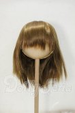 画像1: 9inch/ウィッグ Y-26-09-29-040-WT-ZY (1)