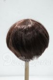 画像2: 8-9inch/ウィッグ Y-26-10-06-256-WT-ZY (2)