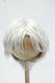 画像1: 8-9inch/ウィッグ Y-26-10-06-263-WT-ZY (1)