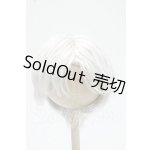画像: 8-9inch/ウィッグ Y-26-10-06-263-WT-ZY
