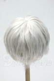 画像2: 8-9inch/ウィッグ Y-26-10-06-263-WT-ZY (2)