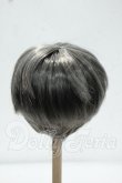 画像2: 8-9inch/ウィッグ Y-26-10-06-254-WT-ZY (2)
