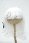 画像1: 8-9inch/ウィッグ Y-26-10-06-262-WT-ZY (1)