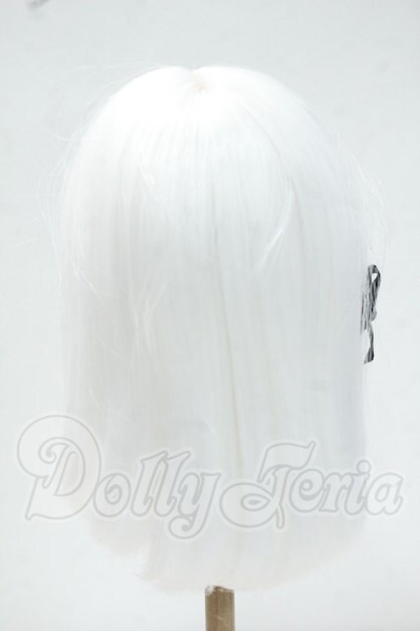画像2: 8-9inch/ウィッグ Y-26-10-06-262-WT-ZY (2)