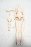 画像1: MDD/ベースボディ:あさちゃんち様フレーム内蔵・交換済 Y-26-10-06-289-WT-ZY (1)