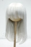 画像1: 9inch/ウィッグ Y-26-10-06-267-WT-ZY (1)