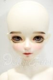 画像2: MYOU DOLL/Zuzana Literature ver. Limited Y-26-10-06-102-WT-ZY (2)