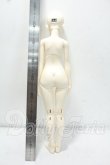 画像7: MYOU DOLL/Zuzana Literature ver. Limited Y-26-10-06-102-WT-ZY (7)