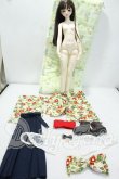 画像8: MYOU DOLL/Zuzana Literature ver. Limited Y-26-10-06-102-WT-ZY (8)