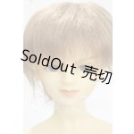 画像: SD13/LINK(リンク)スタンダードフェア限定 Y-26-10-06-002-WT-ZY