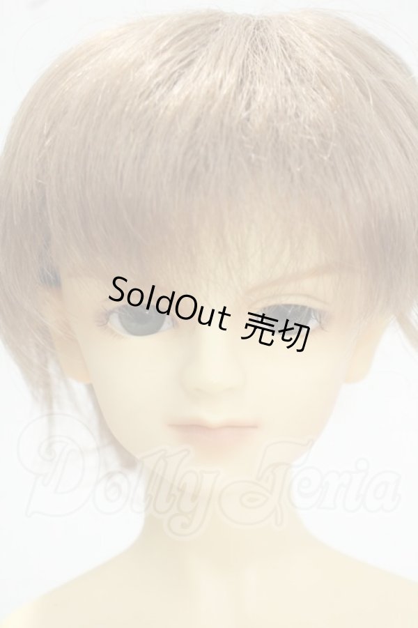 画像1: SD13/LINK(リンク)スタンダードフェア限定 Y-26-10-06-002-WT-ZY (1)