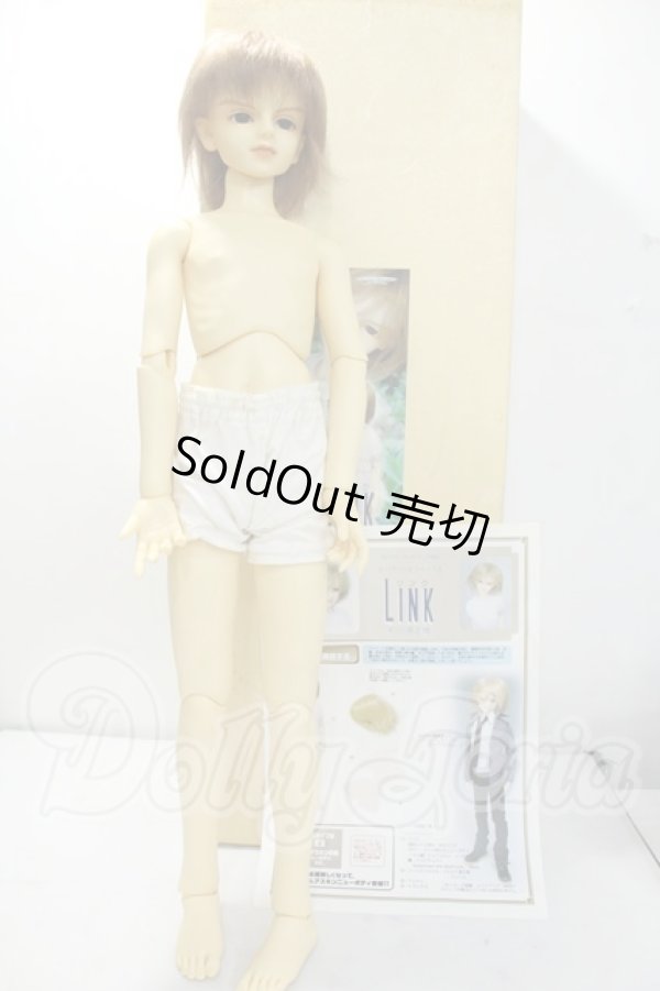 画像8: SD13/LINK(リンク)スタンダードフェア限定 Y-26-10-06-002-WT-ZY (8)