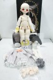 画像6: 【DOLK×MAYDOLL】檸檬猫 - ぺんぎん幼稚園 ver. Limited 世界40体限定 Y-26-10-13-304-WA-ZY (6)