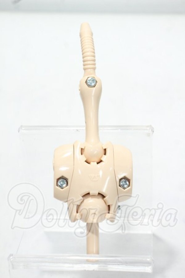 画像1: MDD/上半身フレーム(DD-F3) Y-26-10-27-319-WA-ZY (1)