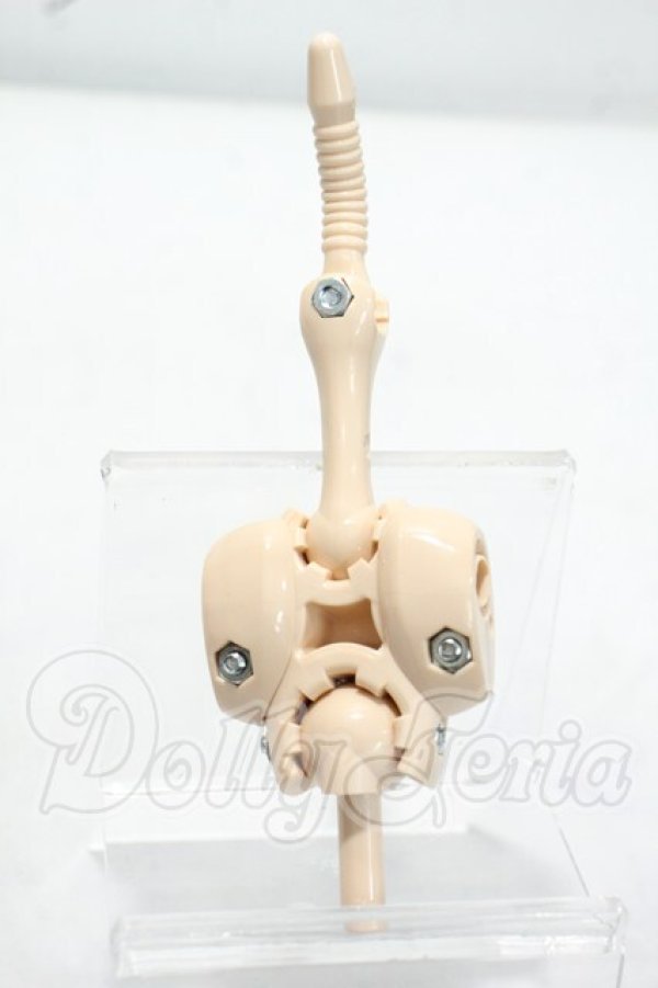 画像2: MDD/上半身フレーム(DD-F3) Y-26-10-27-319-WA-ZY (2)