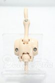 画像2: MDD/上半身フレーム(DD-F3) Y-26-10-27-321-WA-ZY (2)