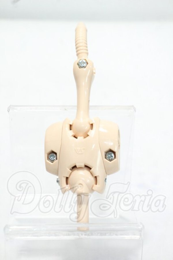 画像2: MDD/上半身フレーム(DD-F3) Y-26-10-27-321-WA-ZY (2)