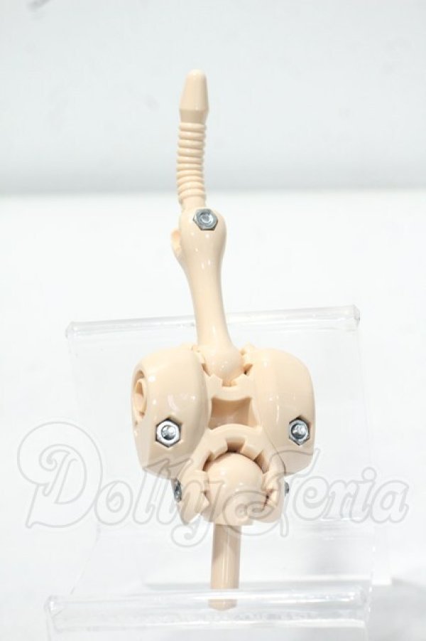 画像1: MDD/上半身フレーム(DD-F3) Y-26-10-27-328-WA-ZY (1)