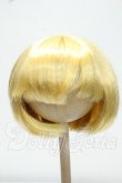 画像1: 8-9inch/ウィッグ Y-26-10-27-335-WA-ZY (1)