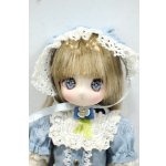 画像: azone/1/6アイリスコレクトプチ Ruchiru（るちる）/ Flowers of Serenity（Blue Myosotis ver.） Y-26-10-13-301-WA-ZY